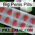 Big Penis Pills 18